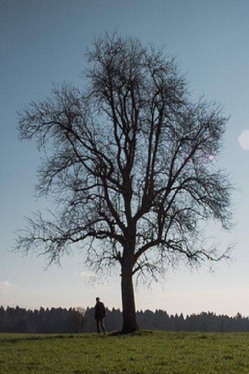 Outside 2015 official movie poster