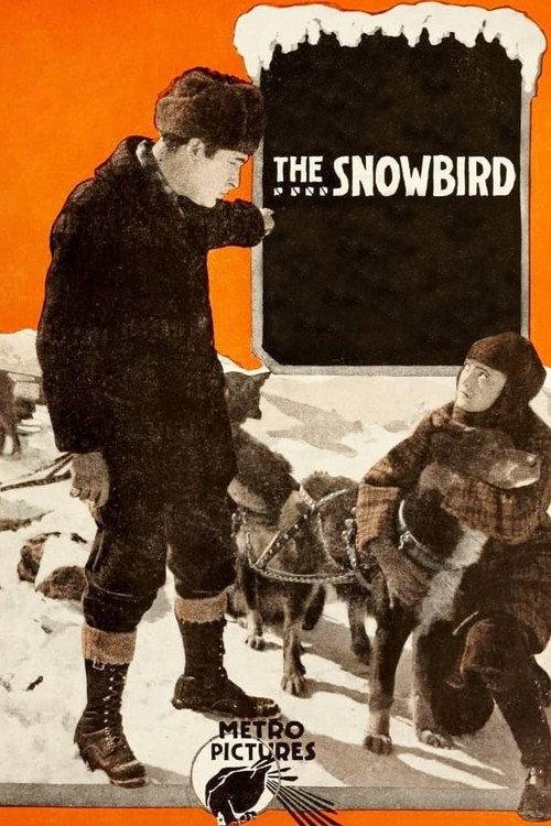 The Snowbird 1916 official movie poster