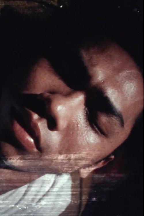 Tributaries 1995 official movie poster