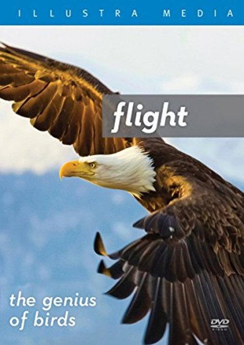 Flight: The Genius of Birds 2013 official movie poster