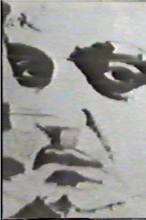 Goffredo 1967 official movie poster