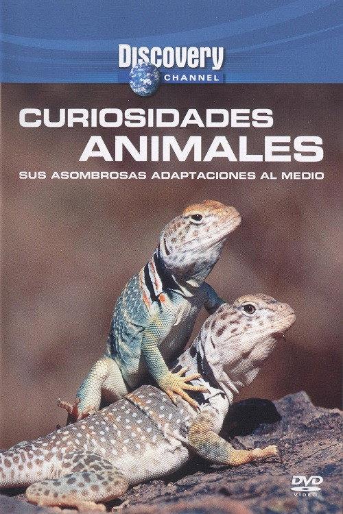 Wild Weird Animals 2004 official movie poster