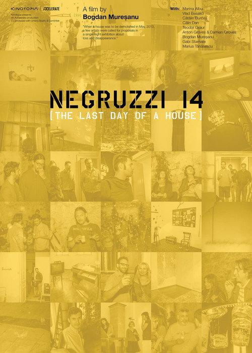 Negruzzi 14 2016 official movie poster