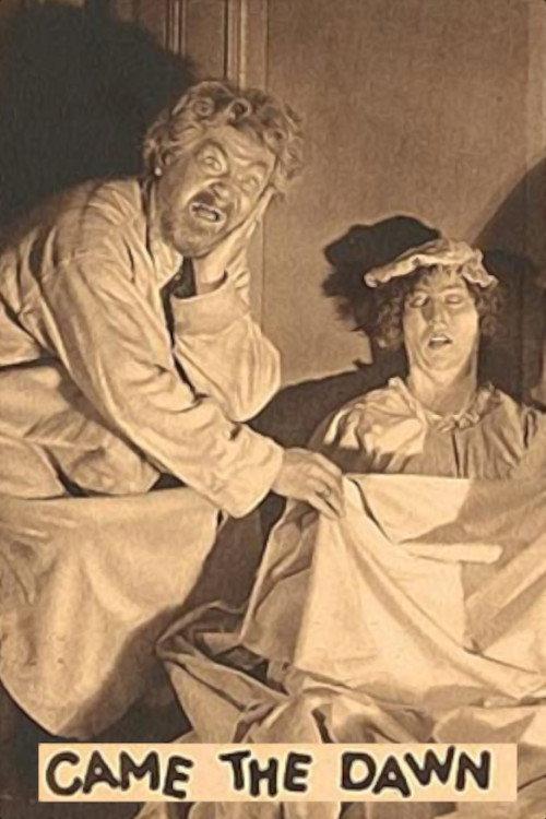 Came the Dawn 1928 official movie poster