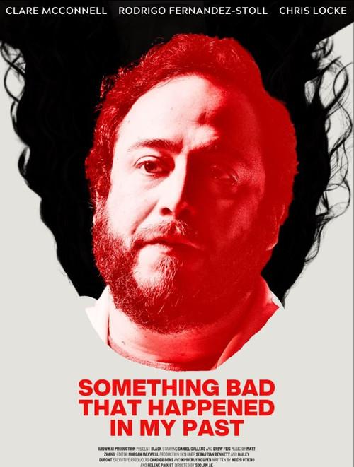 Something Bad That Happened in My Past 2025 official movie poster