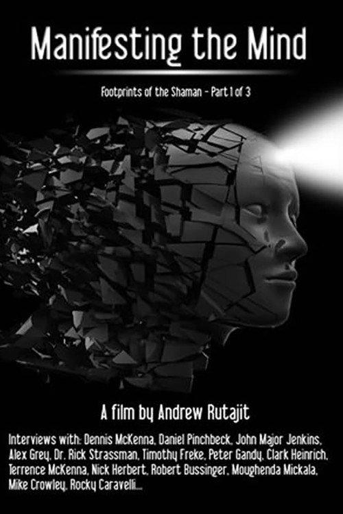 Manifesting the Mind: Footprints of the Shaman 2009 official movie poster