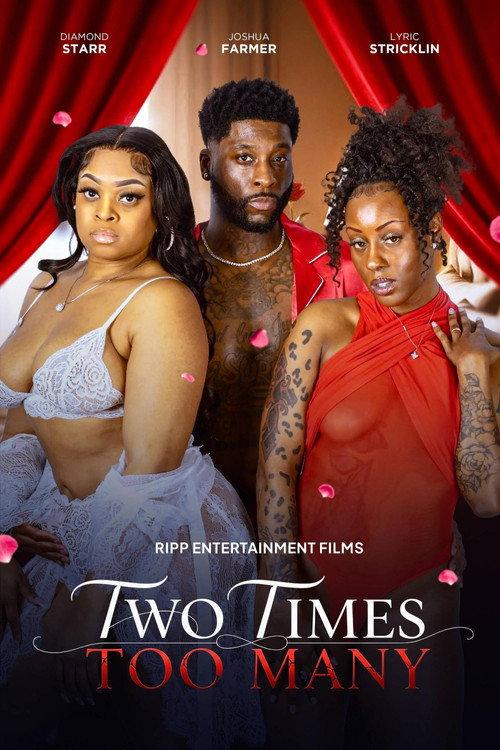 Two Times Too Many 2026 official movie poster