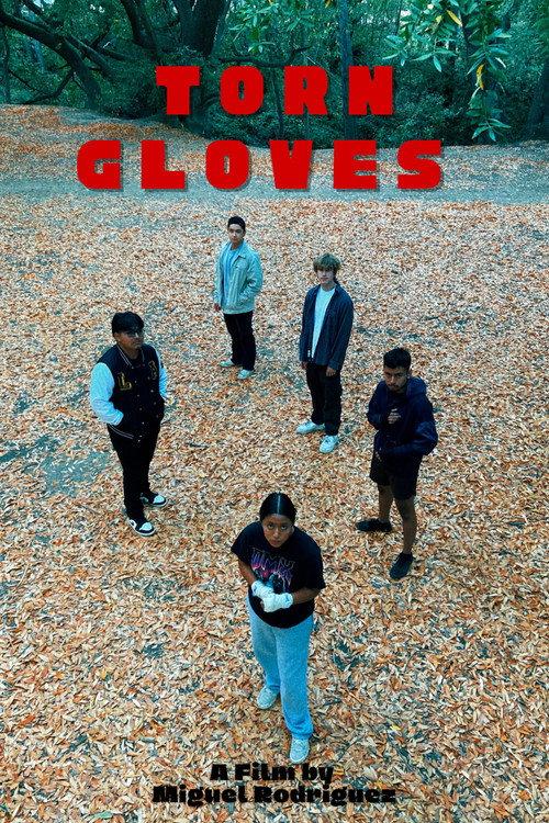 Torn Gloves 2022 official movie poster