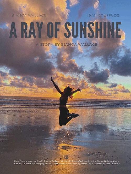 A Ray of Sunshine  official movie poster