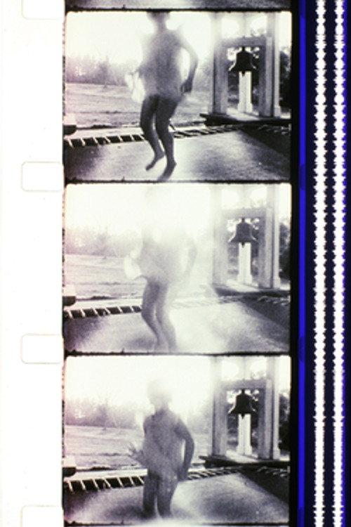 Report from Millbrook 1966 official movie poster