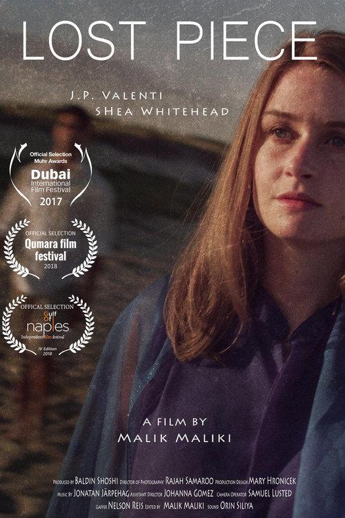Lost Piece 2017 official movie poster