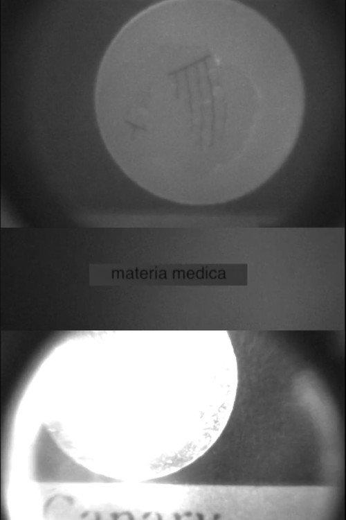 MATERIA MEDICA 2015 official movie poster