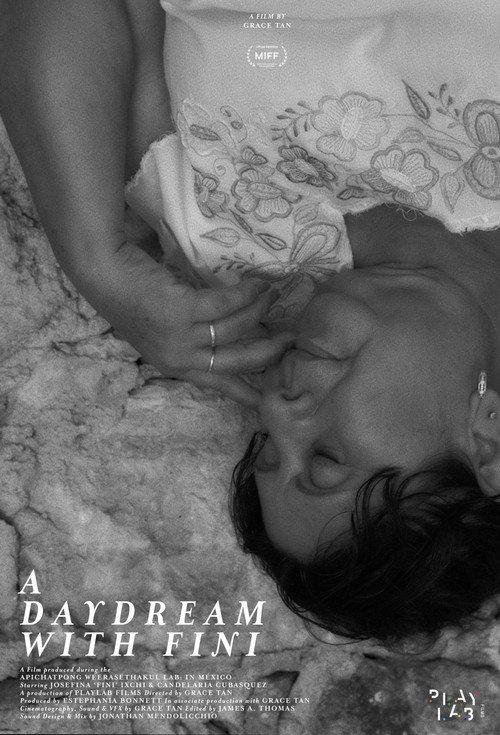 A Daydream with Fini 2024 official movie poster