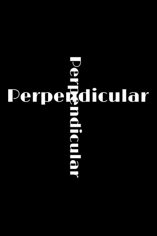 Perpendicular 2025 official movie poster
