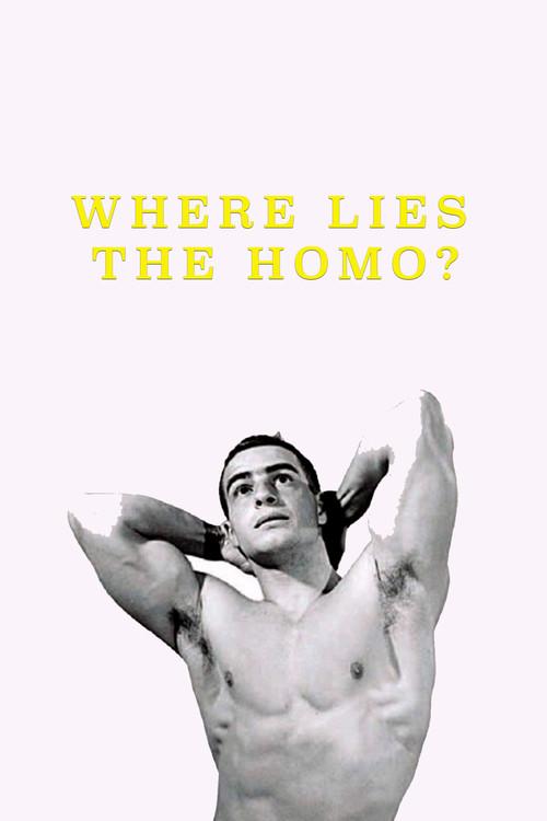 Where Lies the Homo? 1999 official movie poster