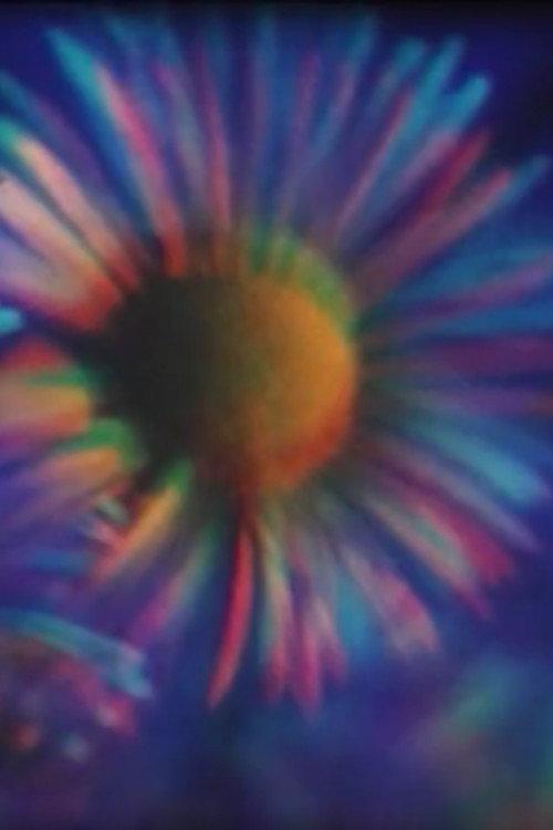 The Garden Just before Dawn 2003 official movie poster