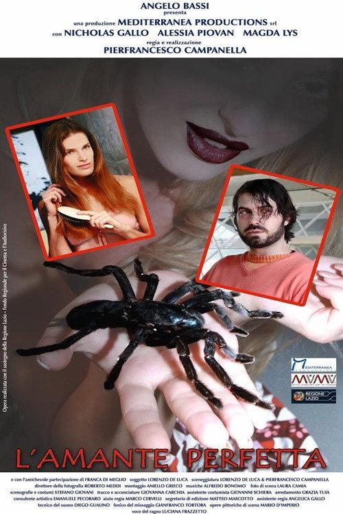 L'amante perfetta 2017 official movie poster