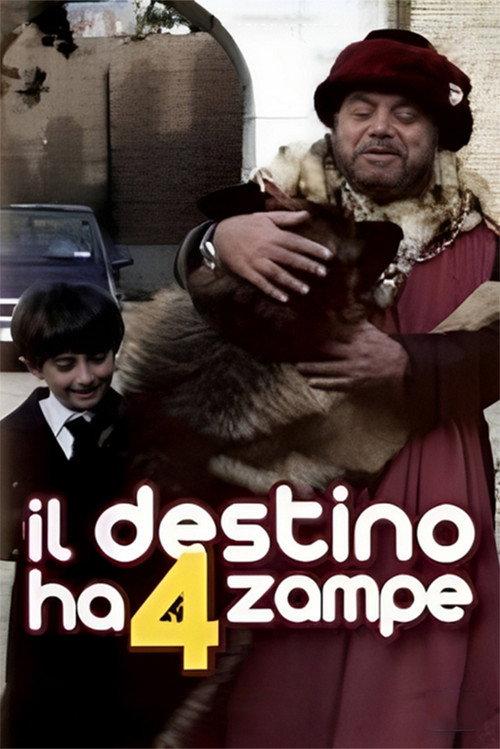 Il destino ha 4 zampe 2002 official movie poster