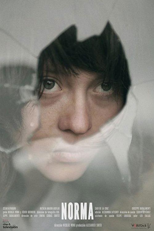 Norma 2013 official movie poster