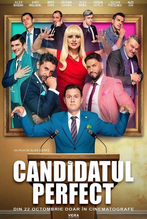The Perfect Candidate 2024 official movie poster