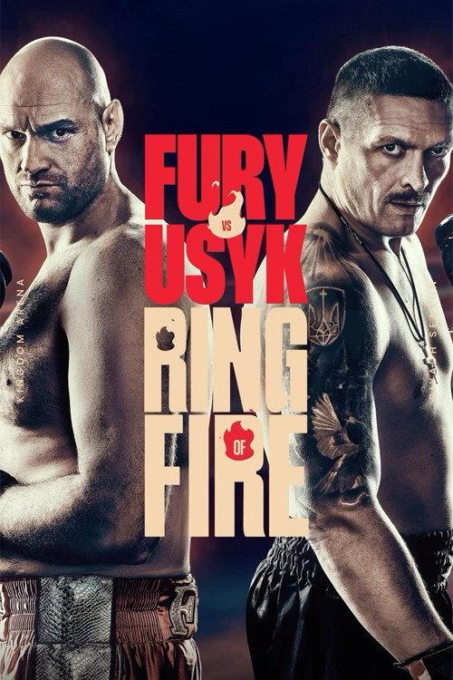 Tyson Fury vs. Oleksandr Usyk 2024 official movie poster