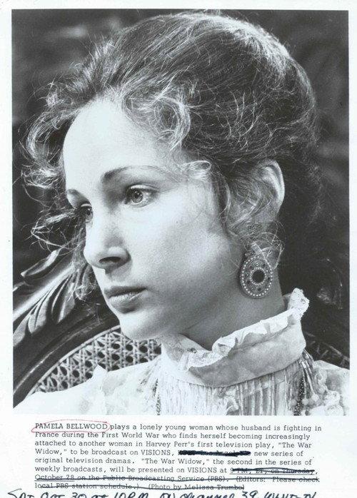 The War Widow 1976 official movie poster