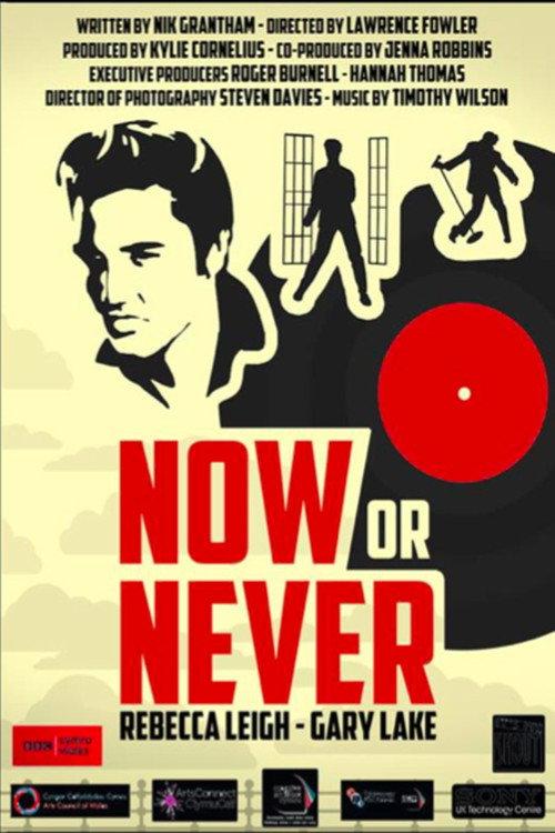 Now or Never 2013 official movie poster