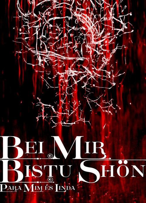 BEI MIR BISTU SHON: PARA MIM ES LINDA 2023 official movie poster