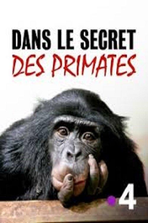 Dans le secret des primates 2020 official movie poster