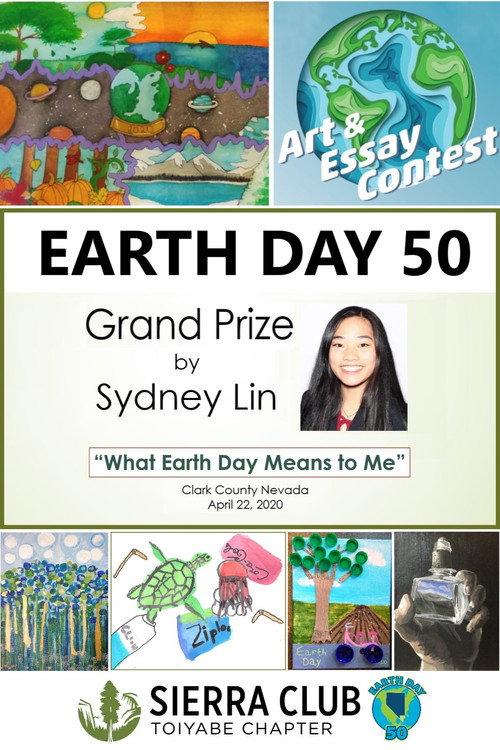 Earth Day 50 Grand Prize 2020 official movie poster