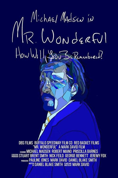 Mr. Wonderful 2026 official movie poster