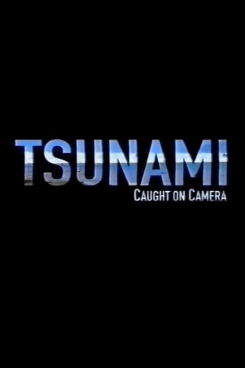 Tsunami: Caught on Camera 2009 official movie poster