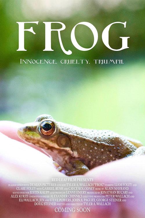 Frog 2016 official movie poster