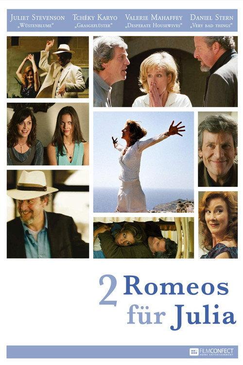 A Previous Engagement 2009 official movie poster