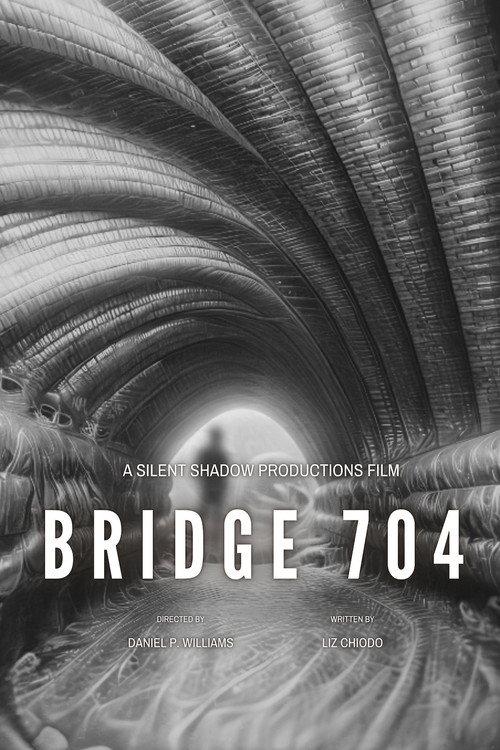 Bridge 704 2026 official movie poster
