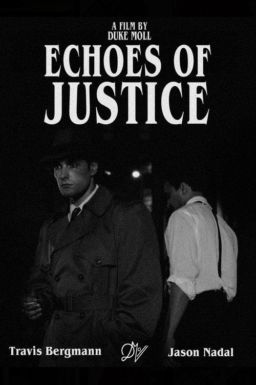 Echoes of Justice official movie poster