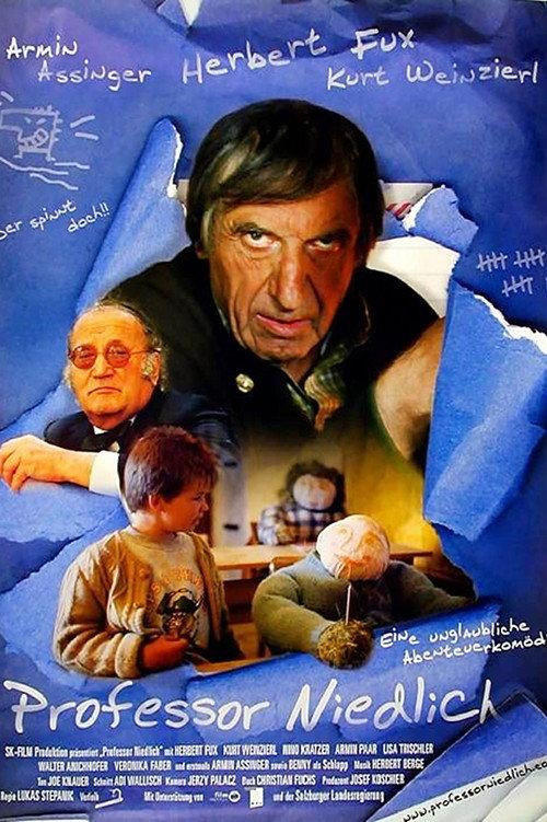 Professor Niedlich 2001 official movie poster