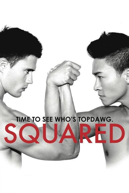 Squared 2014 official movie poster
