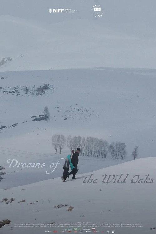 Dreams of the Wild Oaks 2026 official movie poster