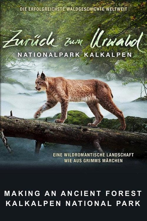 Making An Ancient Forest - Kalkalpen National Park 2015 official movie poster