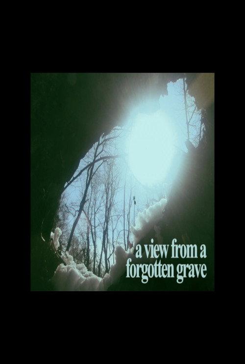 A View From A Forgotten Grave 2024 official movie poster