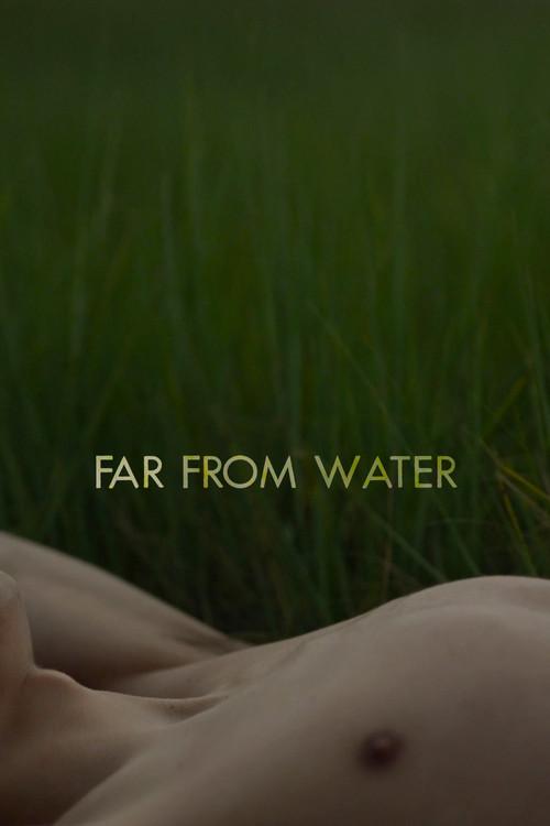 Far From Water 2024 official movie poster