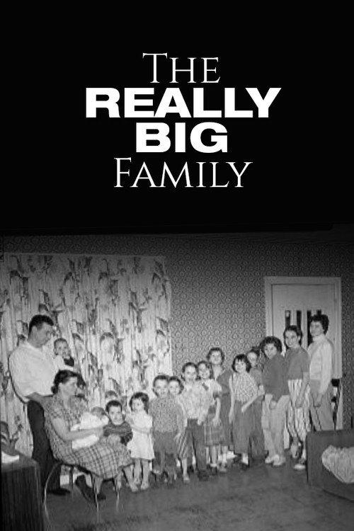 The Really Big Family 1966 official movie poster