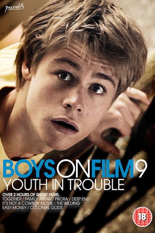 Boys On Film 9: Youth in Trouble 2013 official movie poster