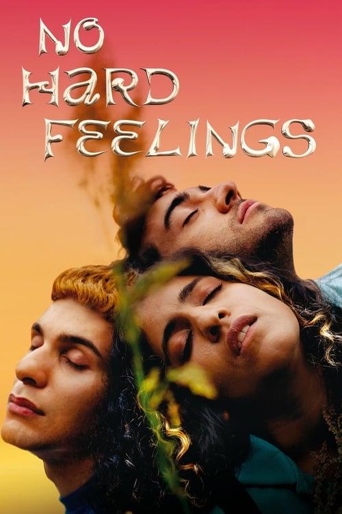 No Hard Feelings 2020 official movie poster