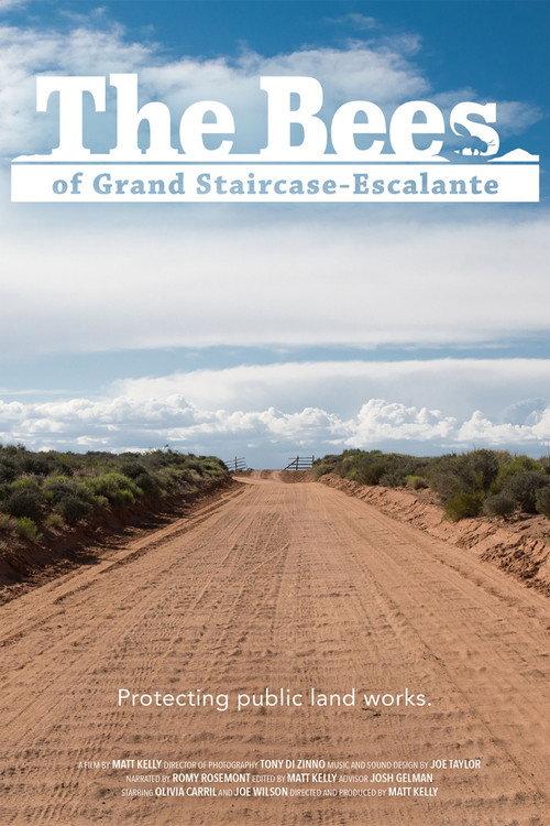 The Bees of Grand Staircase-Escalante 2020 official movie poster