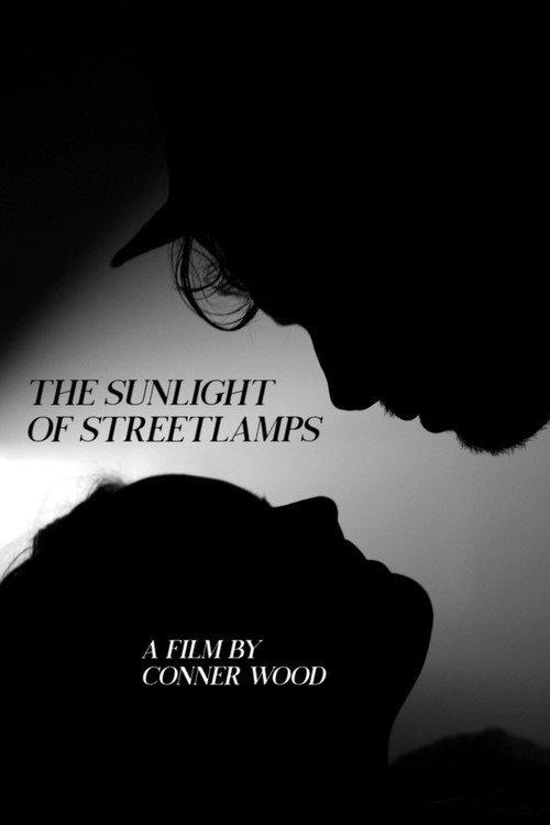 The Sunlight of Streetlamps 2020 official movie poster