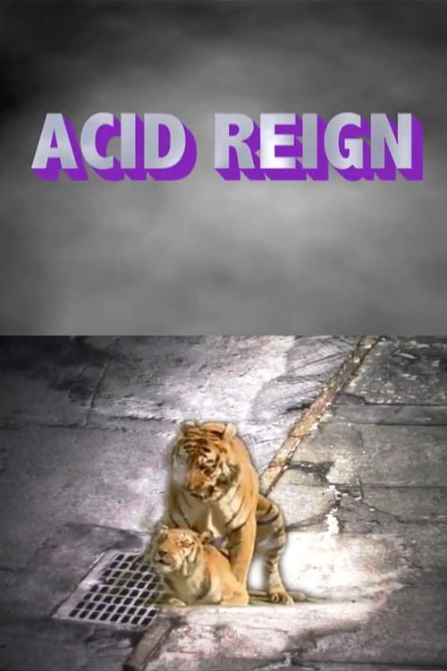 ACID REIGN 2011 official movie poster