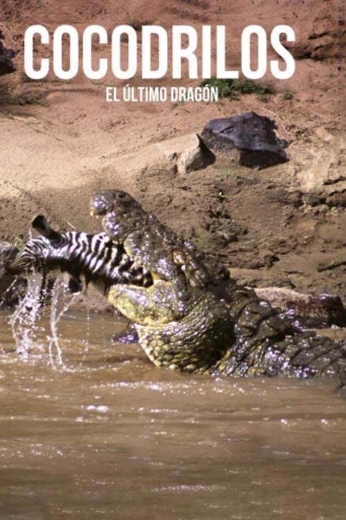 Crocodiles, the last dragon 2010 official movie poster