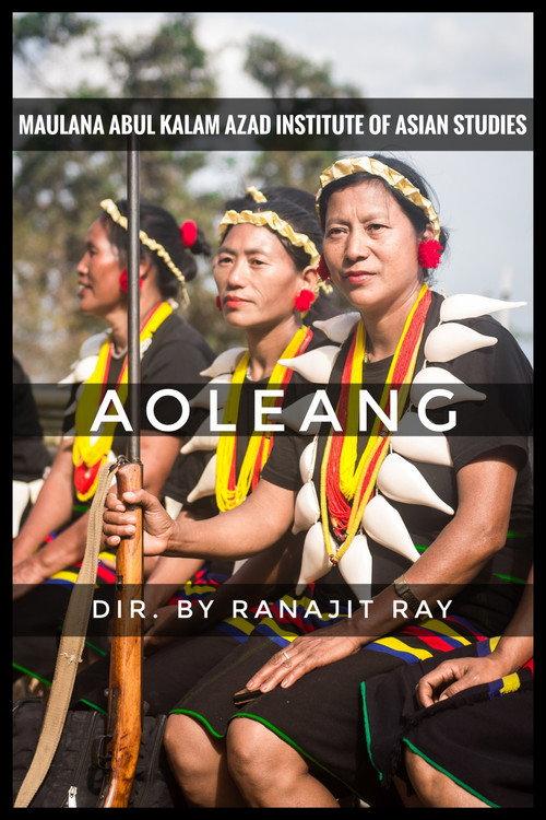 Aoleang 2016 official movie poster